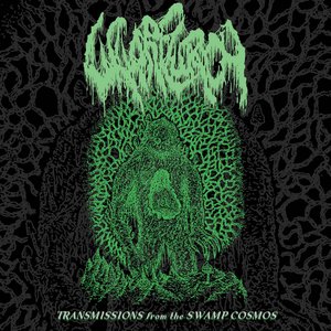 Transmissions from the Swamp Cosmos