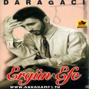 Daragaci