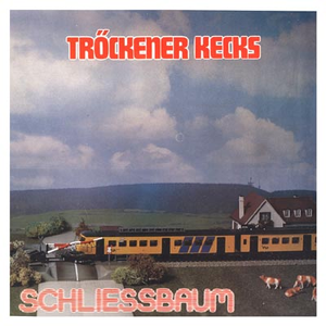 Schliessbaum cover