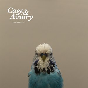 Migration