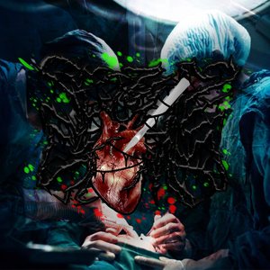 Seizure Stomp 的头像