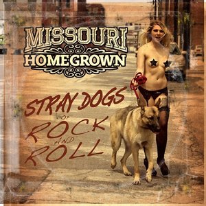 Stray Dogs of Rock and Roll