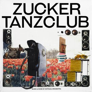 Zucker Tanzclub