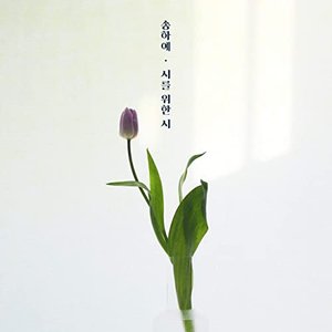 A Poem a Day (tvN DRAMA) OST Part.12