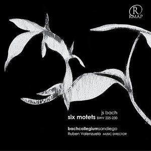 Bach Motets
