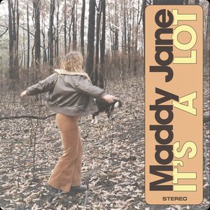 It's a Lot - Single