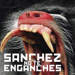 Avatar for Sánchez No Te Enganches