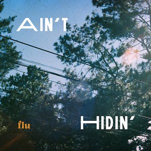 Ain't Hidin' - Single
