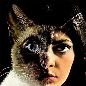 Persona photo provided by Last.fm