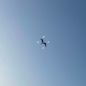 ZENDAYA - Single