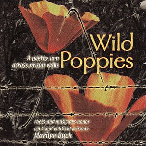 Wild Poppies