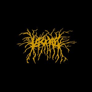 LASCAR 的头像