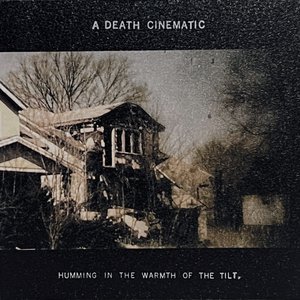 HUMMING IN THE WARMTH OF THE TILT