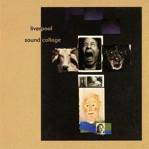 Paul McCartney, The Beatles & Super Furry Animals 的头像