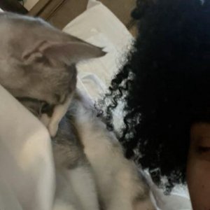 Heartkimi Archive