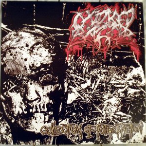 Collection of Putrefaction