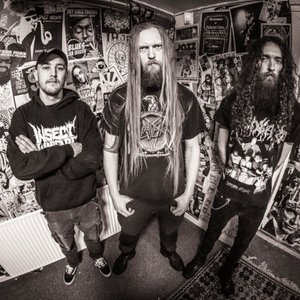 Destabilizer 的头像