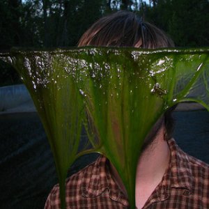 Avatar for Scotty Lingelbach