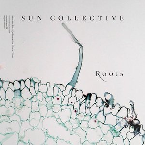 Roots