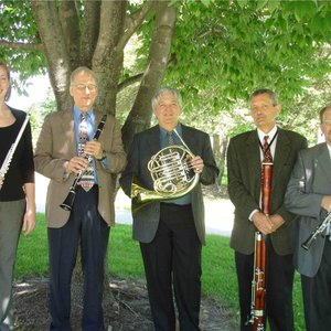 Reykjavik Wind Quintet 的头像
