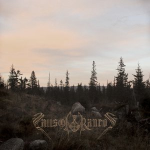 Image for 'The Light That Dwells in Rotten Wood (2013 remaster)'