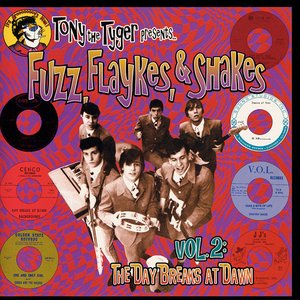 Fuzz, Flaykes & Shakes, vol. 2