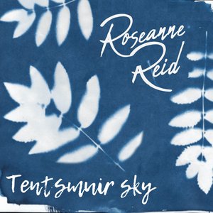 Tentsmuir Sky