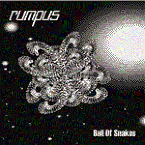 Image for 'Rumpus'