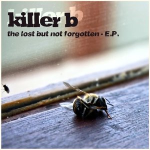 The Lost But Not Forgotten