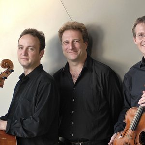 Аватар для Vienna Piano Trio