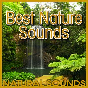 Best Nature Sounds (Nature Sound)