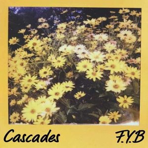 F.Y.B.