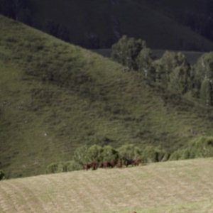 “Døden som belønning”的封面