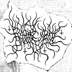 Rattenzirkel 的头像