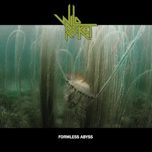 Formless Abyss