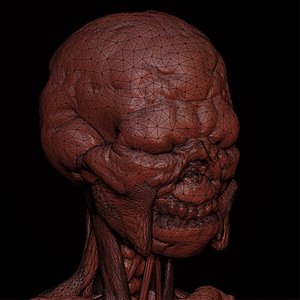 “KOMARA”的封面