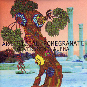 Artificial Pomegranate cover