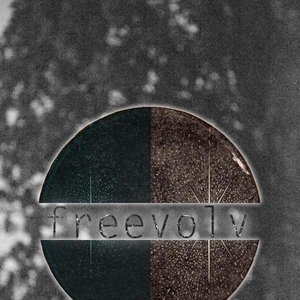 freevolv 的头像