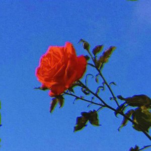survive - Single