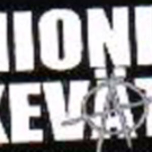 Siionin Kevät 的头像