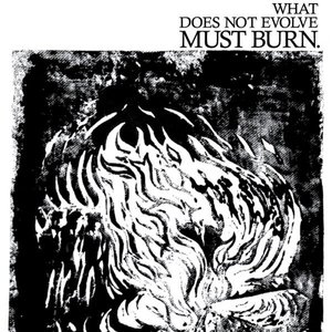 What Does Not Evolve Must Burn