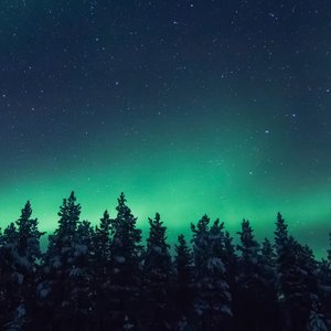 Aurora Blue 的头像