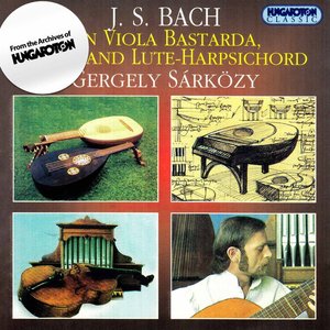 J. S. Bach on Viola Bastarda, Lute, and Lute-Harpsichord