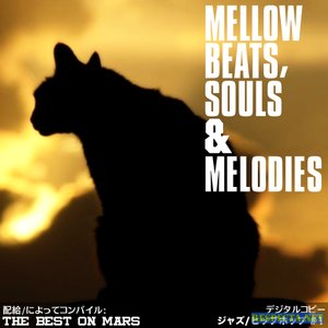 Mellow beats 的头像