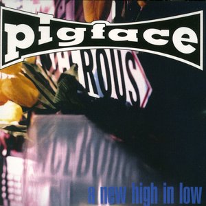 A New High In Low (Limited Edition)