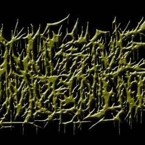 Divulsive Impalement 的头像