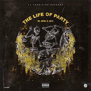 Life of the Party