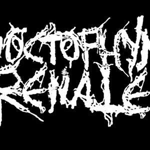 Dioctophyma Renale 的头像
