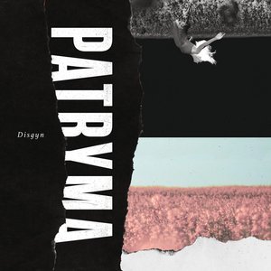 Disgyn