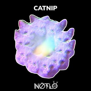 Catnip